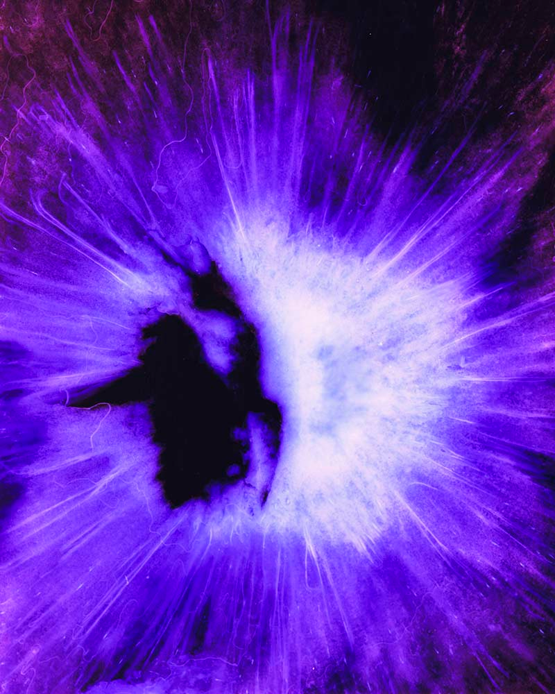 Illustration for article titled This is not a Hubble photo of a supernova—it's food